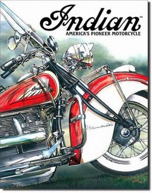 Indian - America's Pioneer