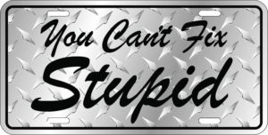 Can't Fix Stupid